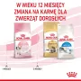 Royal Canin FHN Kitten droogvoer voor kittens, 4 kg