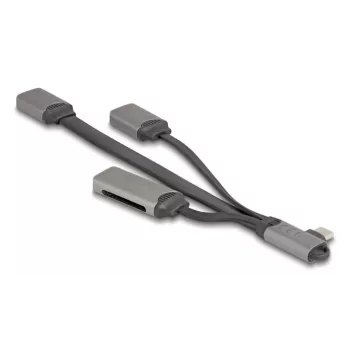 DeLOCK 64303 USB 3.2 Gen 1 Type-C Hub 5000 Mbit/s Grijs