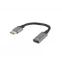 Lanberg AD-DP-HD-04 videokabel-adapter 0,2 m DisplayPort HDMI