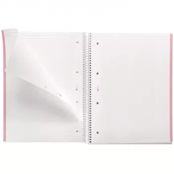 Schrift MAUL A460522 A4 80 blad roze