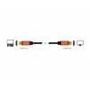 HDMI-kabel DeLOCK 85729 2 m HDMI Type-A standaard zwart goud
