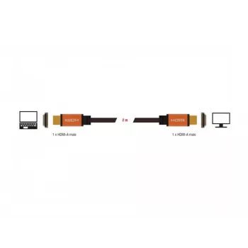 HDMI-kabel DeLOCK 85729 2 m HDMI Type-A standaard zwart goud