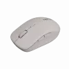 Canyon muis MW-12 dualband draadloos beige - muis - 2.400 dpi (CNS-CMSW12BG)