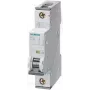 Siemens installatieautomaat 2 A 1-polig C (5SY4102-7)