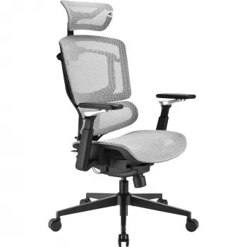 Bureaustoel Sharkoon OfficePal C50M — gevoerde zitting, mesh rugleuning, zwart, rugleuning 49 × 63 cm, zittingsbreedte 50 cm