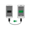 USB-kabel DeLOCK 83570 USB 2.0 0,3 m USB B Zwart