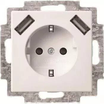 Busch-Jaeger SCHUKO 2-voudig USB stopcontact 20 EUCB2USB-914 (2CKA002011A6266)
