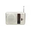 Draagbare radio Eltra TOLA 3 analoog zilver