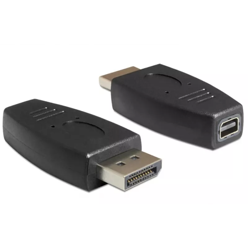 DeLOCK - DisplayPort-adapter - DisplayPort (M) naar Mini DisplayPort (W) - zwart