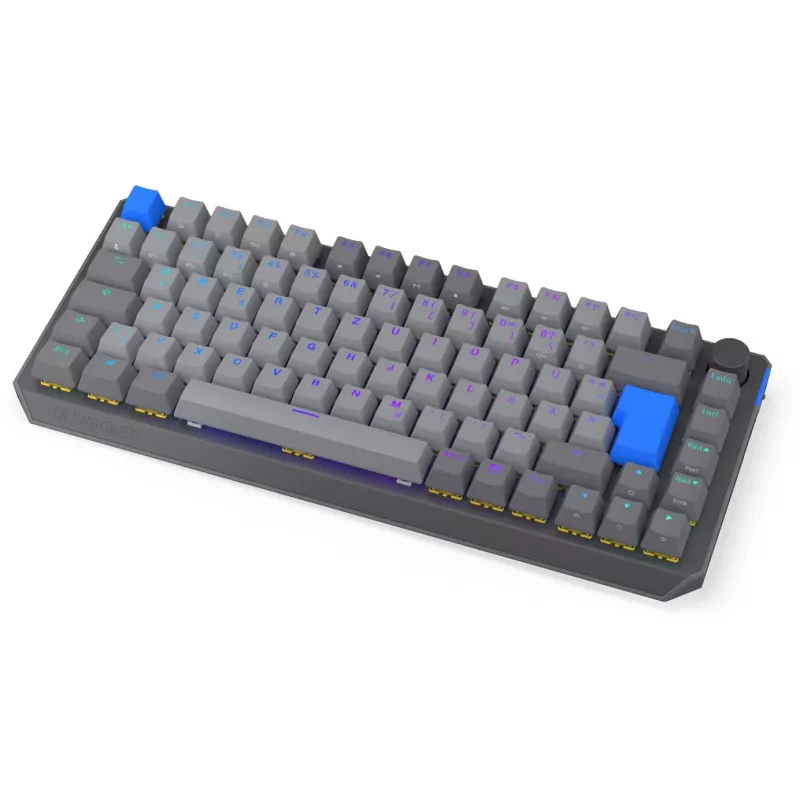 Compact 75% draadloos mechanisch toetsenbord ENDORFY Thock V2 met gele switches, DE-layout