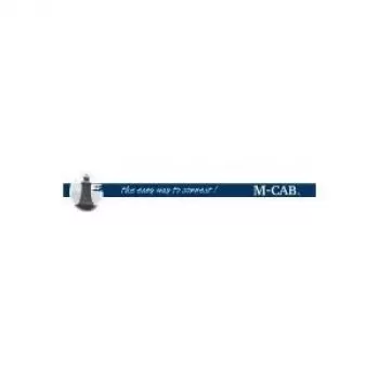 Mcab batterij alkaline mignon 4 x AA LR6 (7002003)