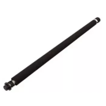 Ricoh B0393820 printer/scanner reserveonderdeel/accessoire rol