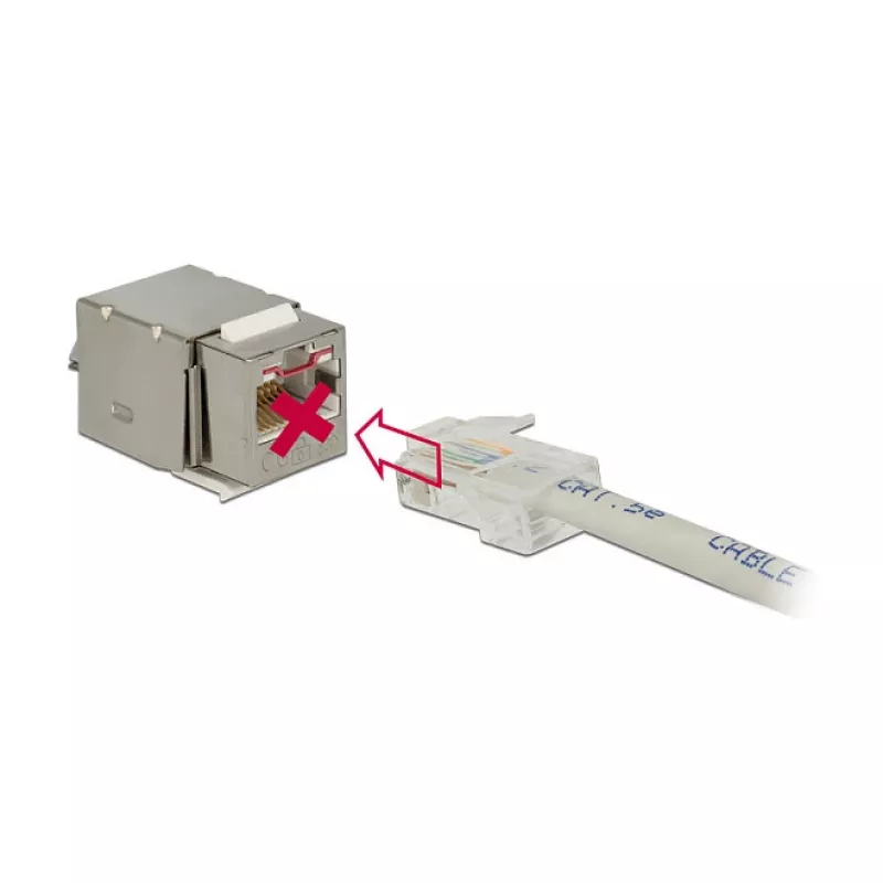 Delock 86404 Keystone-module RJ45 Secure Cat.6 naar LSA, wit
