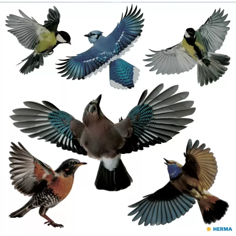 Decoratieve sticker HERMA 15539 folie veelkleurig afneembaar vogel