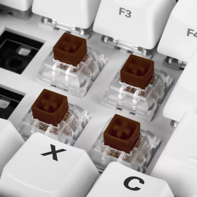 Kailh Box Brown switch-set, toetsenbordschakelaars bruin/transparant, 35 stuks
