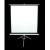 Statief-projectiescherm Elite Screens T113NWS1 2,87 m 1:1