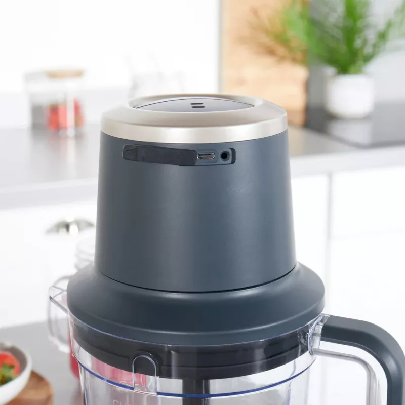 Staafmixer Petra PT5393BGRYVDE