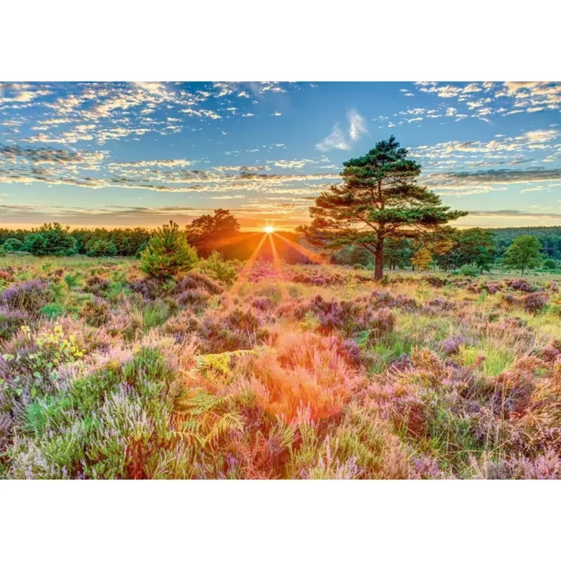 Puzzel, schmidt spiele heide bij zonsondergang, 1000 stukjes, landschapsmotief
