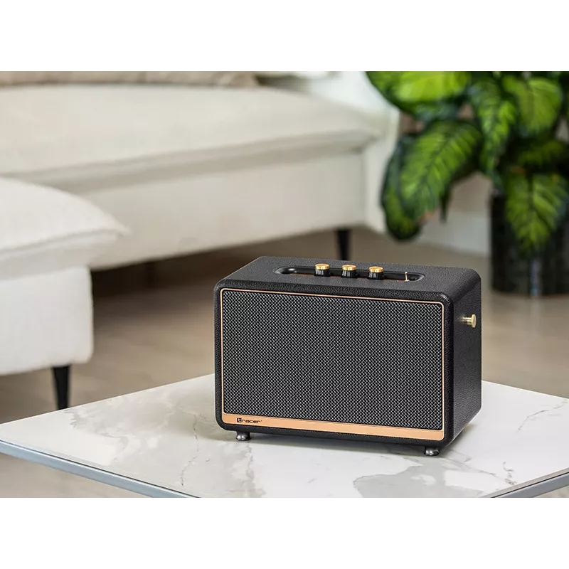 Draagbare stereoluidspreker TRACER M45 zwart — Bluetooth 5.0, 45 W RMS, FM-radio, ingebouwde microfoon, op batterij