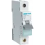 Hager MBN106. AC-ingangsfrequentie: 50/60 Hz, nominale uitgangsstroom: 6 A (MBN106)