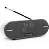 Technisat DigitRadio BT 2 lichtgrijs (0001/3973)