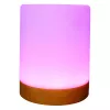 Sfeerverlichting RealPower 200 RGB met afstandsbediening