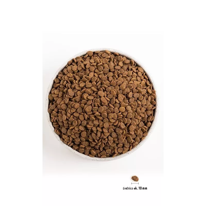 Orijen Kitten droogvoer voor kittens, 1,8 kg