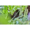 Slanghouder Gardena 13208-20 zwart bodemplaatsing