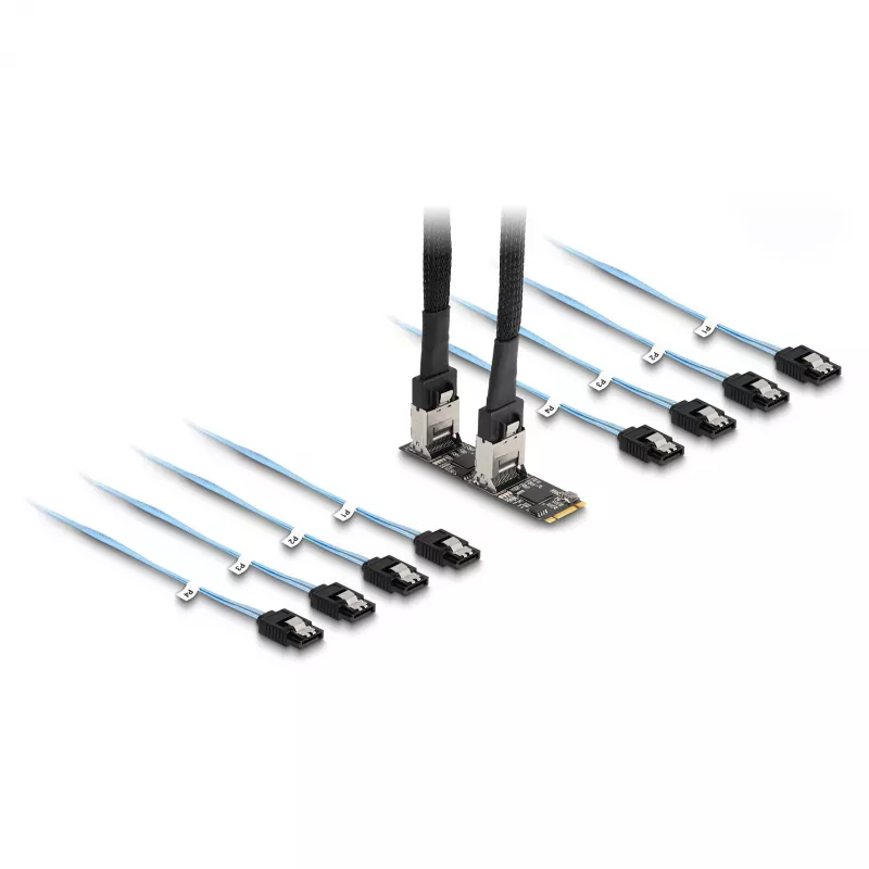DeLOCK converter M.2 2280 Key B+M stekker naar 8 x SATA