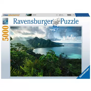 Contourpuzzel Ravensburger 16106 5000 stukjes Flora