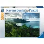 Contourpuzzel Ravensburger 16106 5000 stukjes Flora