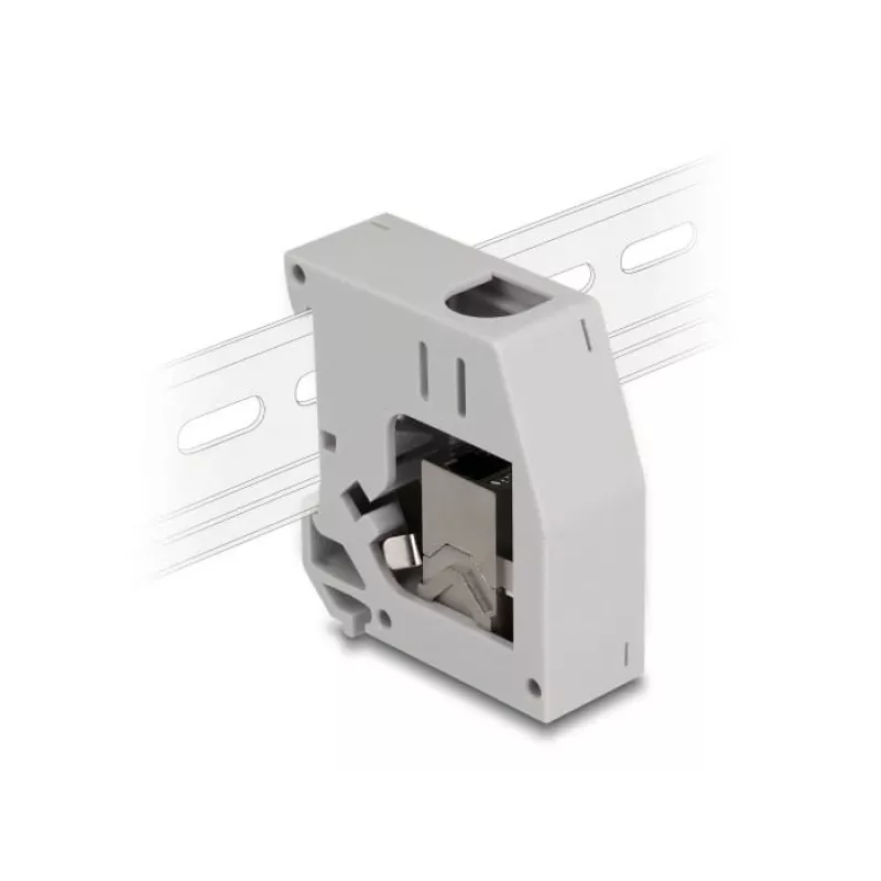 DeLOCK DIN-railadapter RJ45-bus naar RJ45-bus Cat.6A grijs