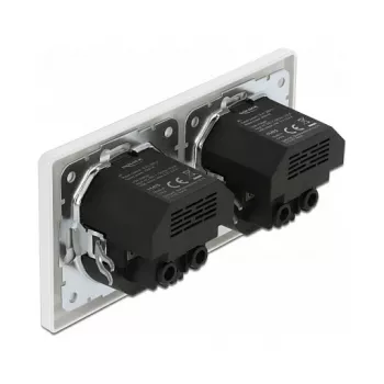 Wandcontactdoos DeLOCK 2-voudig met 4 USB-aansluitingen 2 x 2,8 A