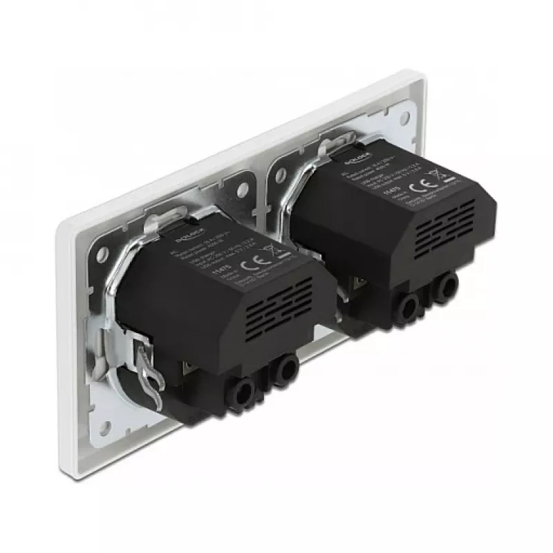 Wandcontactdoos DeLOCK 2-voudig met 4 USB-aansluitingen 2 x 2,8 A