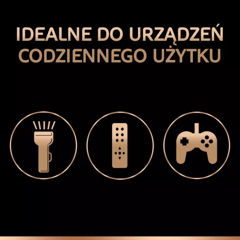 Duracell Basic D (R20) batterij — 2-pack, primaire zink-koolstofcellen
