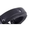 Hoofdtelefoon Beyerdynamic DT 770 PRO 250 OHM zwart limited edition