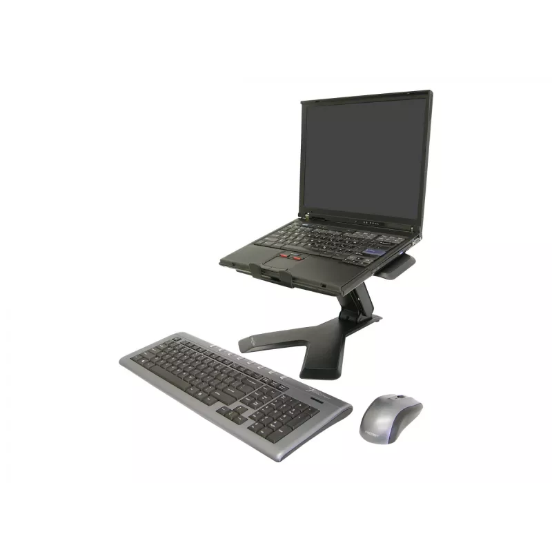 Laptopstandaard Ergotron Neo-Flex™ Notebook Lift Stand zwart