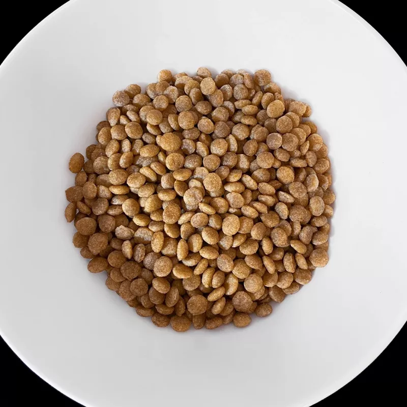 VET RESPONSE Hypoallergenic - droogvoer voor katten - 1,6 kg