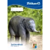 Kunstpapierblok Pelikan 224840