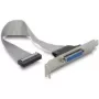 DeLOCK 84300 slotbracket voor parallelle poort, DB25 naar IDC 26-polig, 22 cm