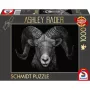 Ashley Rader: Dominance - Ram, In het teken van vuur, puzzel 1000 stukjes