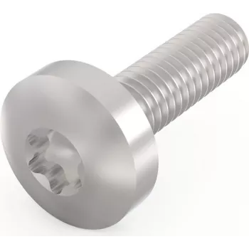 Schroff Pentair Techn. schroef 24560-130 VE100 (24560130)