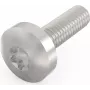 Schroff Pentair Techn. schroef 24560-130 VE100 (24560130)