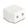 Delock 85843 Lege Keystone-behuizing, 2 poorten, met magnetische voet, wit