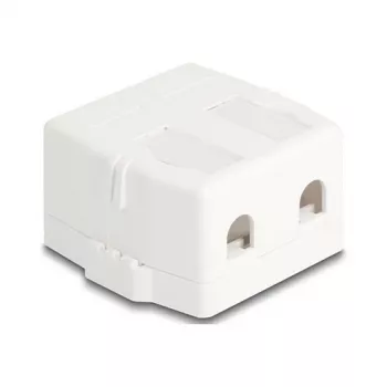 Delock 85843 Lege Keystone-behuizing, 2 poorten, met magnetische voet, wit