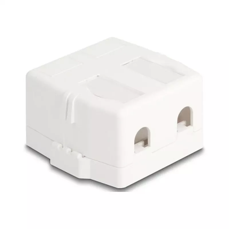 Delock 85843 Lege Keystone-behuizing, 2 poorten, met magnetische voet, wit