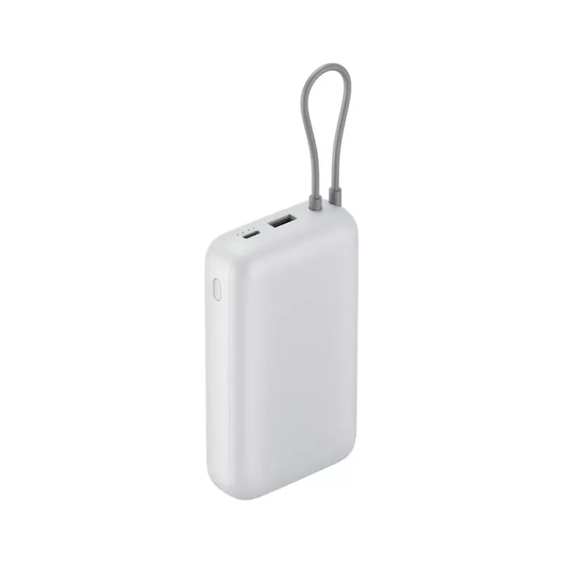 Draagbare oplader Xiaomi Power Bank 20000mAh — krachtige powerbank, dubbele USB-uitgang