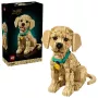 LEGO ICONS 11384 Golden Retriever puppy