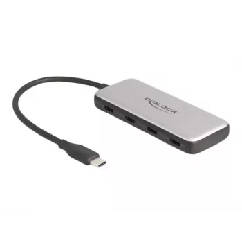 DeLOCK 64261 USB 3.2 Gen 1 Type-C hub 10000 Mbit/s zwart grijs