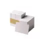 Zebra Premier PVC-kaart, 30 mil, magneetstrip met lage coërciviteit (5 pakken van 100)